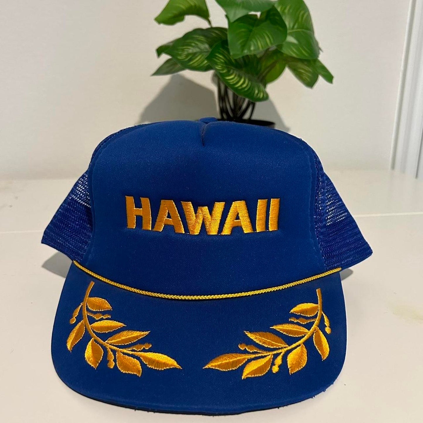 Vintage 1980s1990s hawaii trucker hat